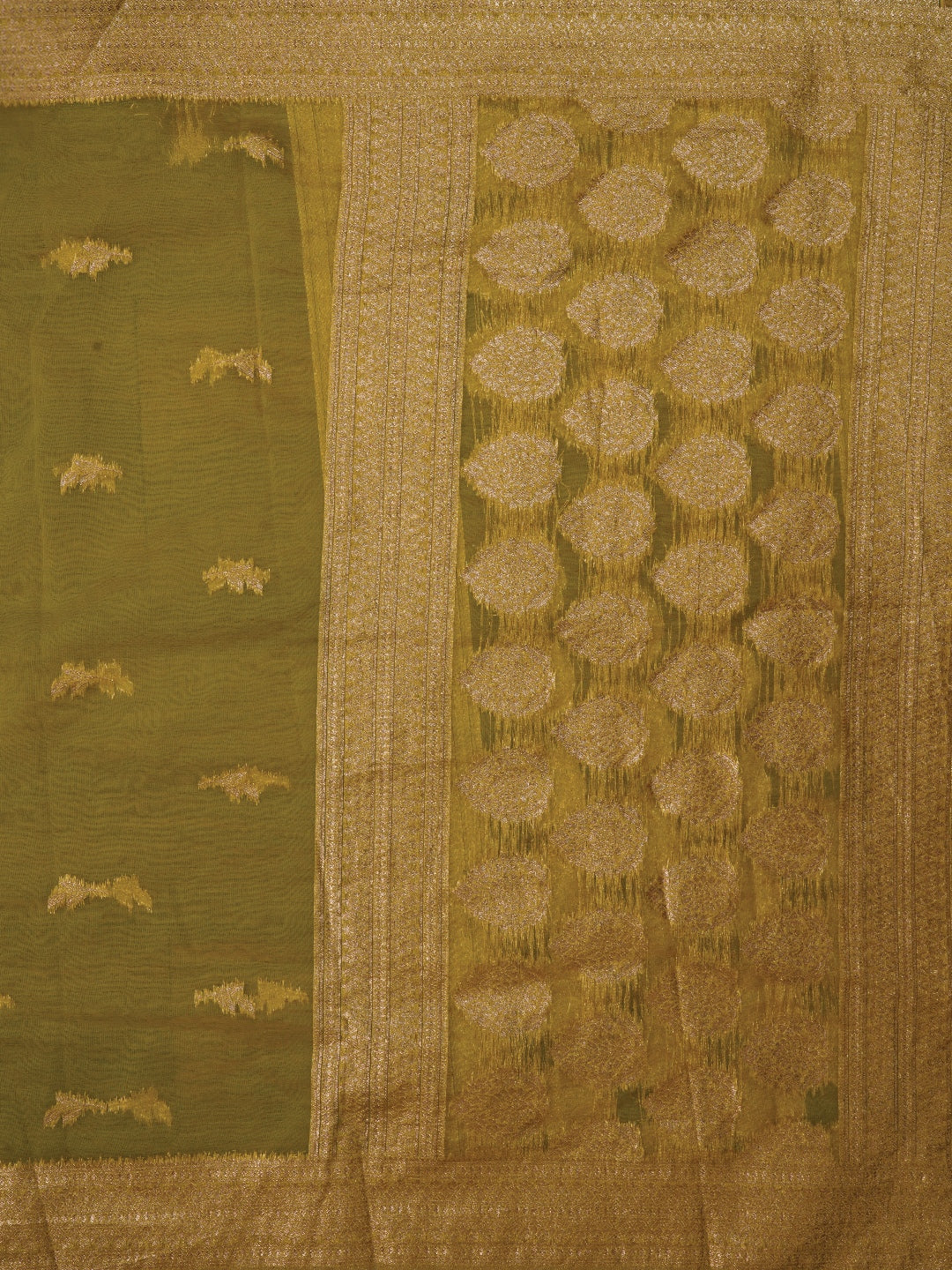 Floral Printed Multicolor Embellished Organza Dress Material with Dupatta